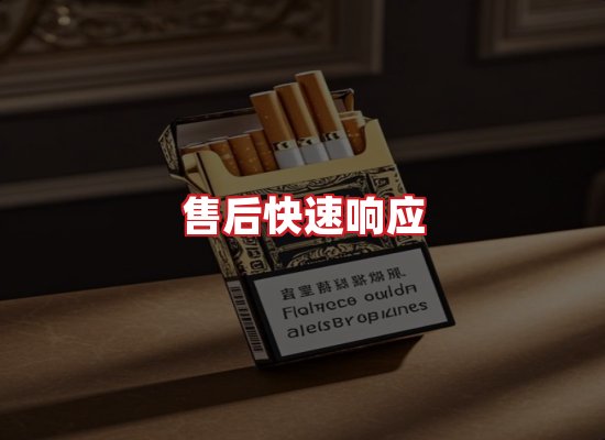 专业团队